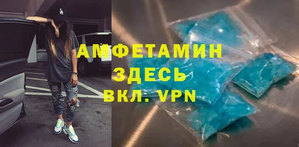 прущие грибы Абаза
