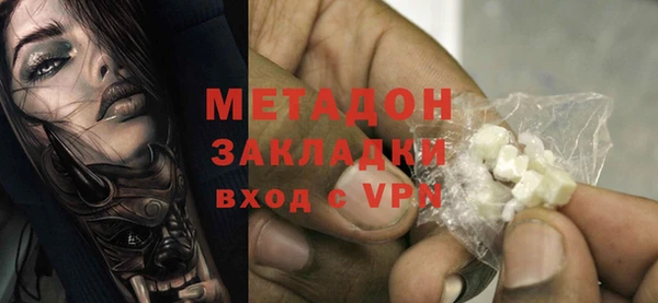 прущие грибы Абаза