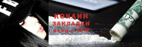 прущие грибы Абаза