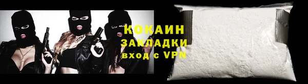 прущие грибы Абаза