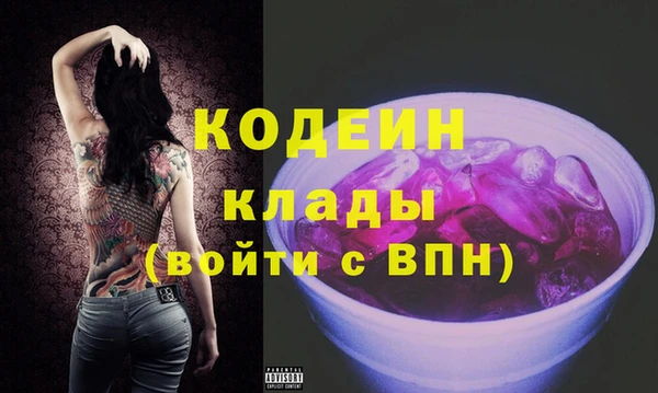 индика Нягань